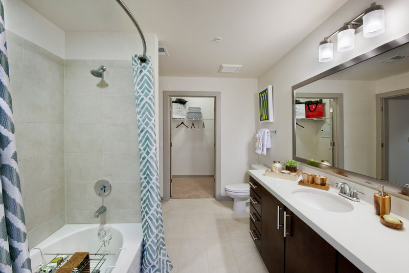 Bathroom with soaking tub/shower combo, large single sink vanity, framed mirror and walk-in closet.