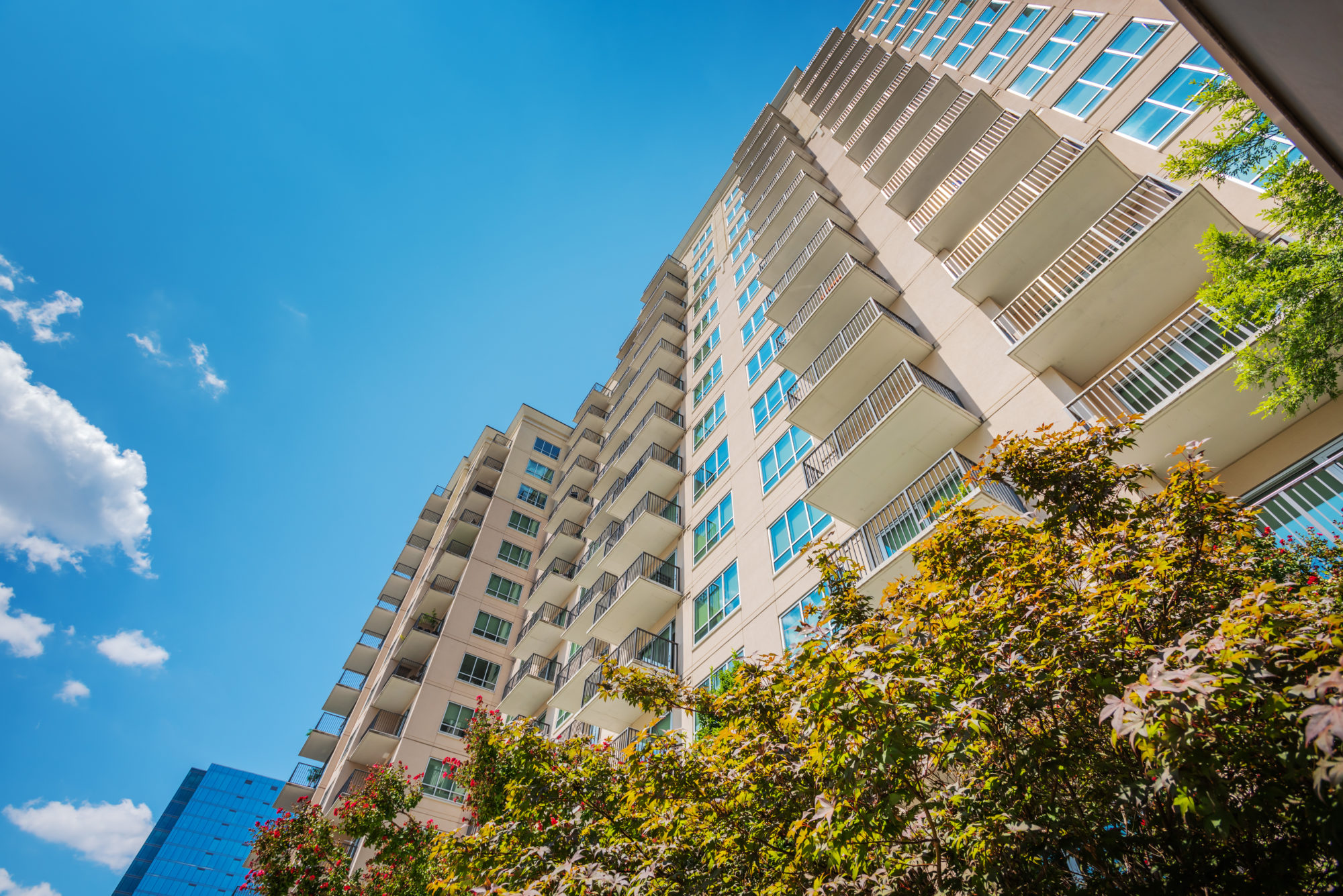 Bell Uptown Charlotte Amenities Designer Apartments